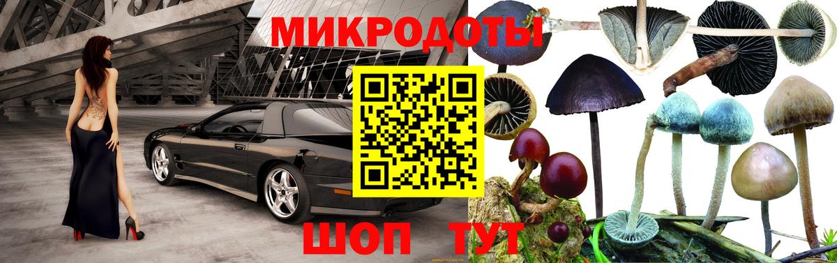 Псилоцибиновые грибы прущие грибы Якутск